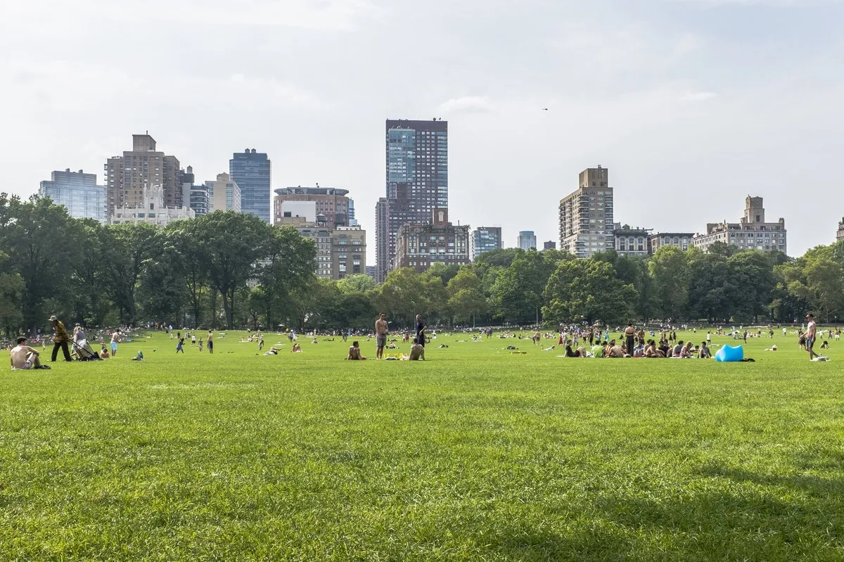 Sunny afternoon crowds relaxing and picnicking on Sheep Meadow lawn in Central Park