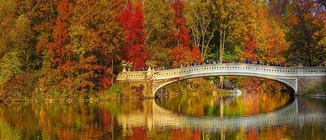 Bow Bridge surrounded by brilliant red and orange autumn foliage in Central Park
