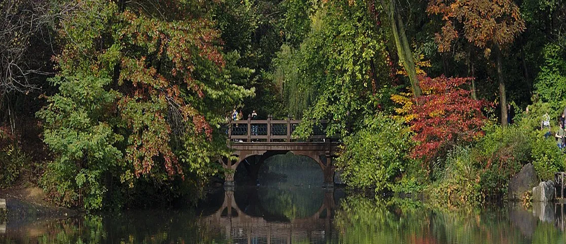 Cabinet Bridge in Central Park framed by vibrant autumn fall foliage