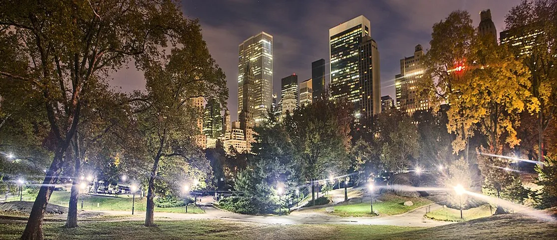 Central Park tree promenade during a quiet autumn evening stroll