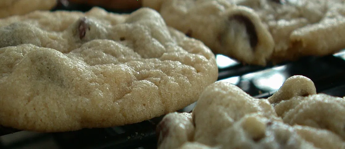 Hot metal baking sheet trays straight out of the bakery oven with fresh golden-brown chocolate chip cookies