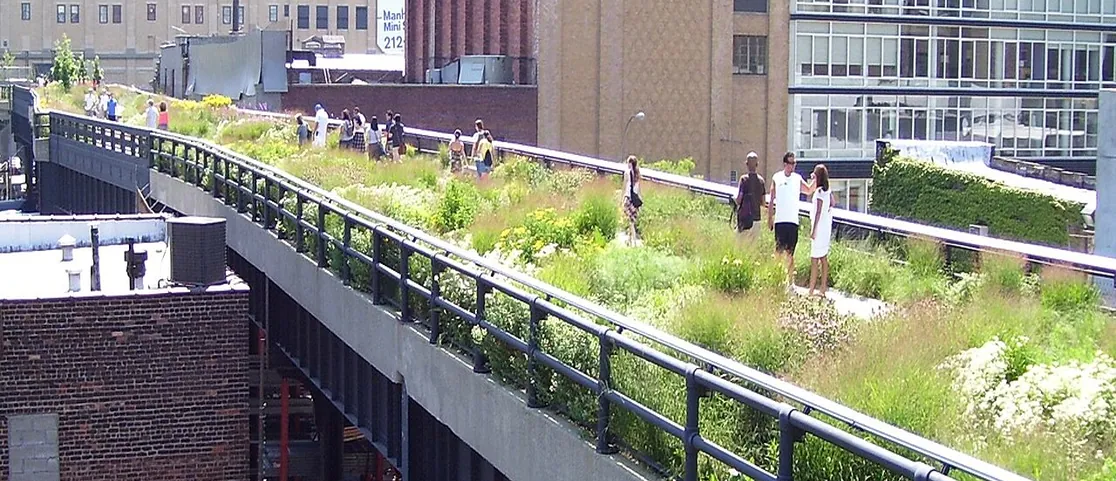 The High Line promenade at 20th Street in spring looking downtown with fresh green birch trees