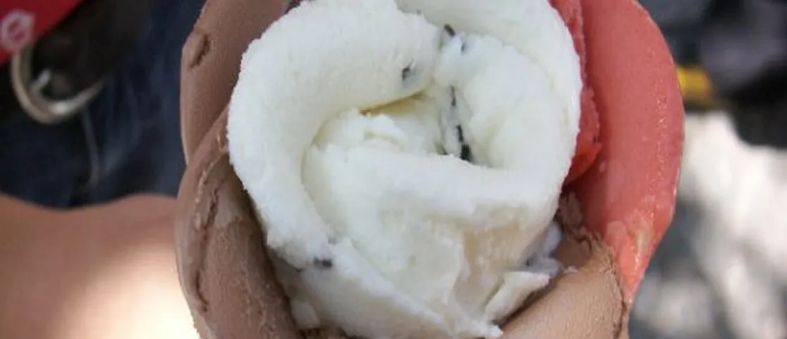 A beautiful artisan flower-shaped gelato cone held on a sunny summer day in New York City