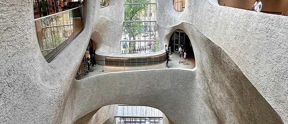 The soaring curving shotcrete canyon architecture inside the AMNH Richard Gilder Center atrium